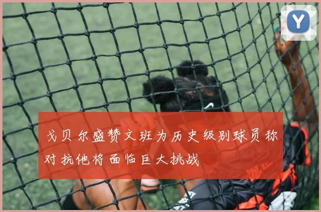 戈贝尔盛赞文班为历史级别球员称对抗他将面临巨大挑战