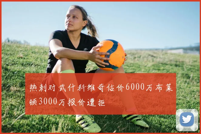 热刺对武什科维奇估价6000万布莱顿3000万报价遭拒